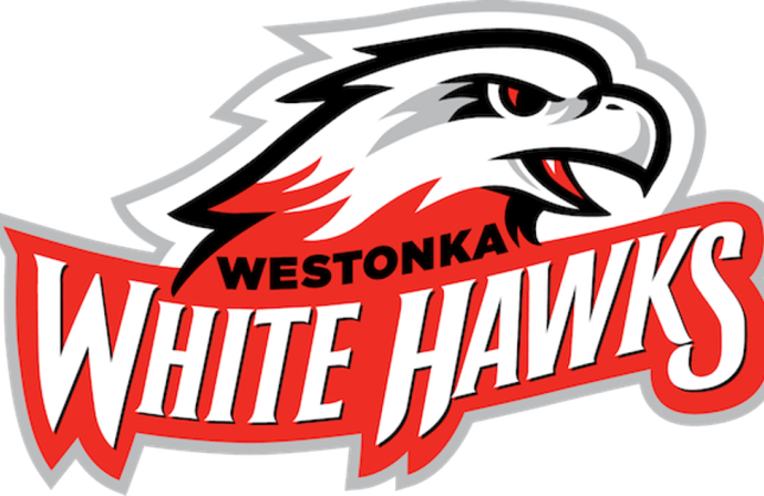Whitehawks logo